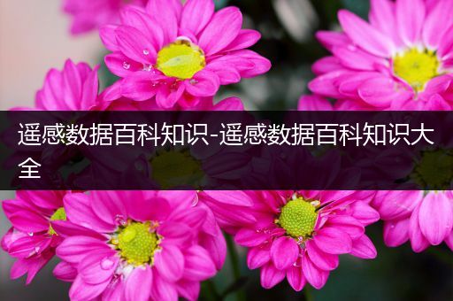 遥感数据百科知识-遥感数据百科知识大全