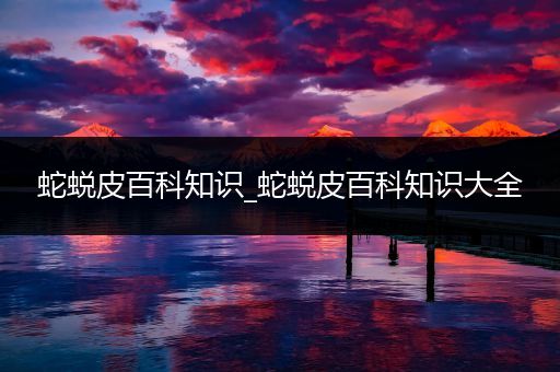 蛇蜕皮百科知识_蛇蜕皮百科知识大全