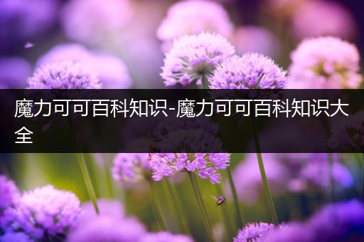 魔力可可百科知识-魔力可可百科知识大全