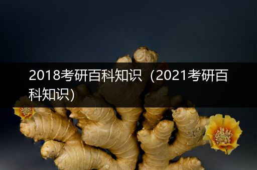 2018考研百科知识（2021考研百科知识）