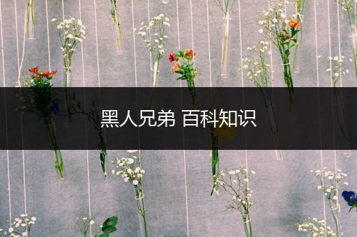 黑人兄弟 百科知识