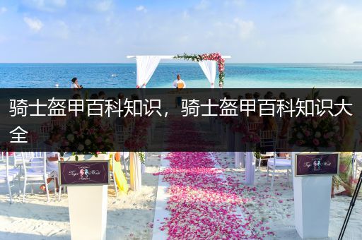 骑士盔甲百科知识，骑士盔甲百科知识大全
