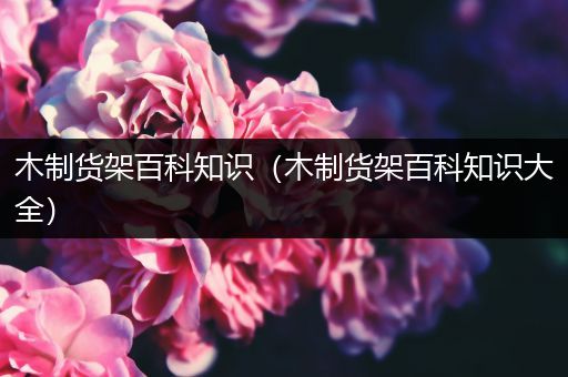 木制货架百科知识（木制货架百科知识大全）