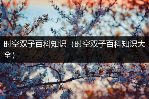 时空双子百科知识（时空双子百科知识大全）