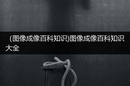 （图像成像百科知识)图像成像百科知识大全