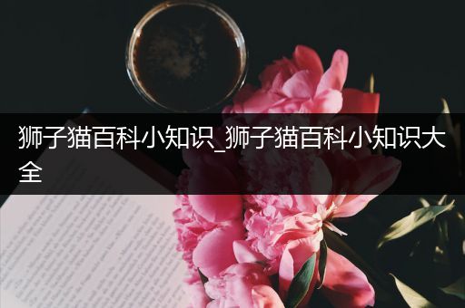 狮子猫百科小知识_狮子猫百科小知识大全