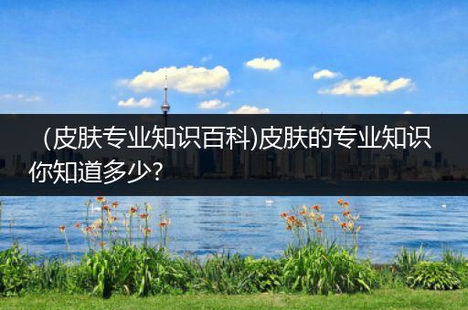 （皮肤专业知识百科)皮肤的专业知识 你知道多少?