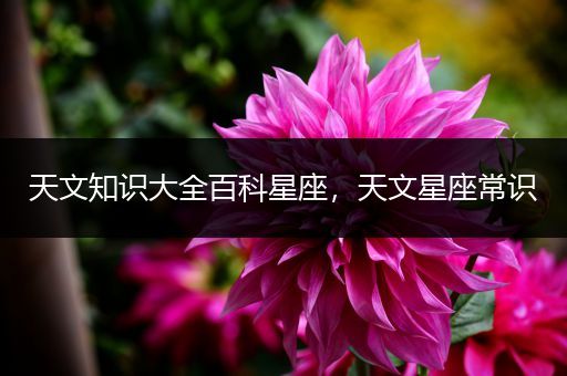 天文知识大全百科星座，天文星座常识