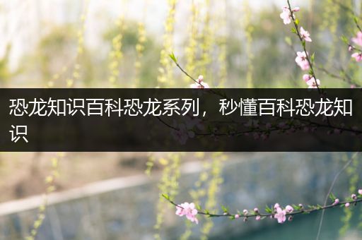 恐龙知识百科恐龙系列，秒懂百科恐龙知识
