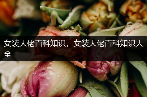 女装大佬百科知识，女装大佬百科知识大全