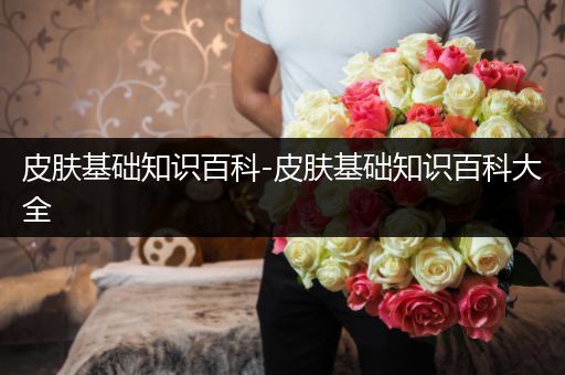 皮肤基础知识百科-皮肤基础知识百科大全