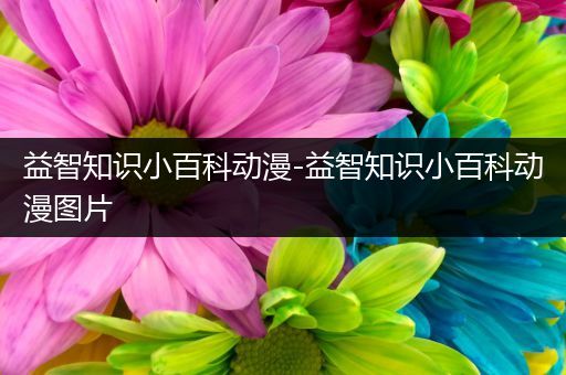 益智知识小百科动漫-益智知识小百科动漫图片