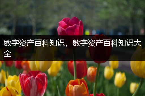 数字资产百科知识，数字资产百科知识大全