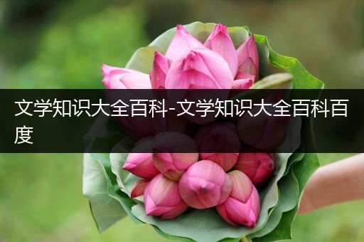 文学知识大全百科-文学知识大全百科百度