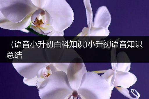 （语音小升初百科知识)小升初语音知识总结
