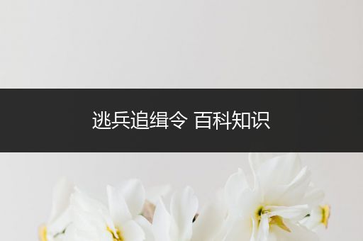 逃兵追缉令 百科知识