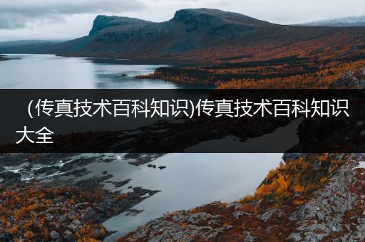 （传真技术百科知识)传真技术百科知识大全