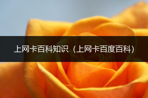 上网卡百科知识（上网卡百度百科）