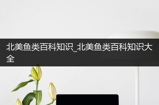 北美鱼类百科知识_北美鱼类百科知识大全