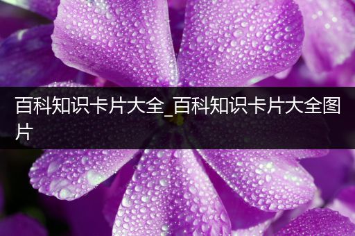 百科知识卡片大全_百科知识卡片大全图片