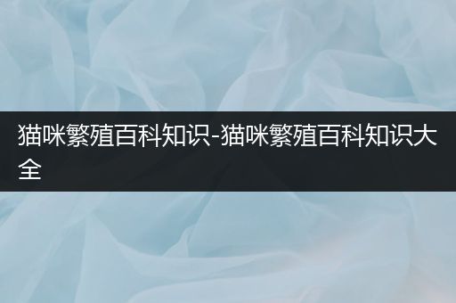 猫咪繁殖百科知识-猫咪繁殖百科知识大全