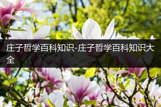 庄子哲学百科知识-庄子哲学百科知识大全