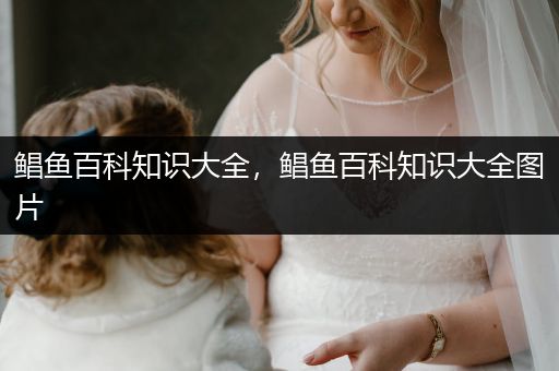 鲳鱼百科知识大全，鲳鱼百科知识大全图片