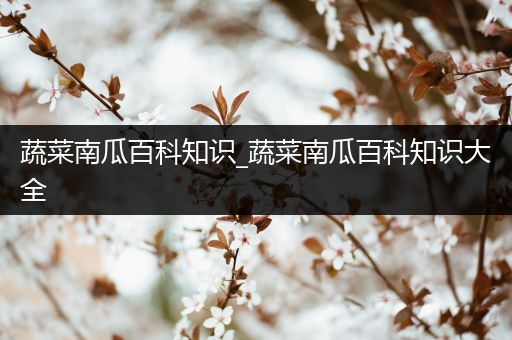 蔬菜南瓜百科知识_蔬菜南瓜百科知识大全