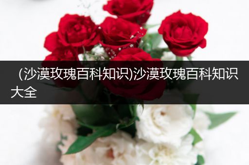 （沙漠玫瑰百科知识)沙漠玫瑰百科知识大全