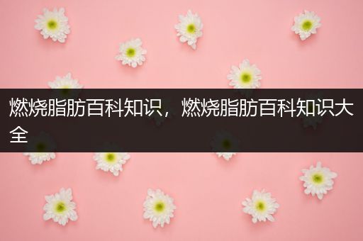 燃烧脂肪百科知识，燃烧脂肪百科知识大全
