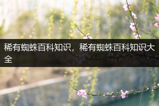 稀有蜘蛛百科知识，稀有蜘蛛百科知识大全