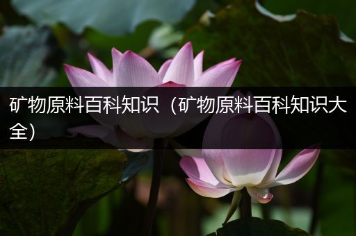 矿物原料百科知识（矿物原料百科知识大全）