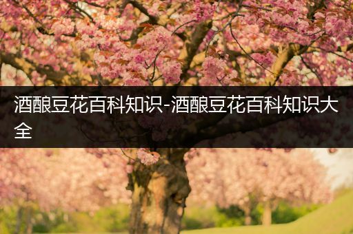 酒酿豆花百科知识-酒酿豆花百科知识大全