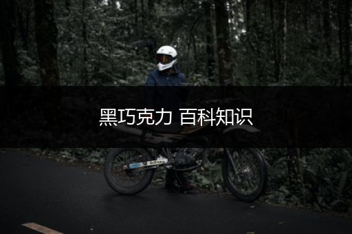黑巧克力 百科知识
