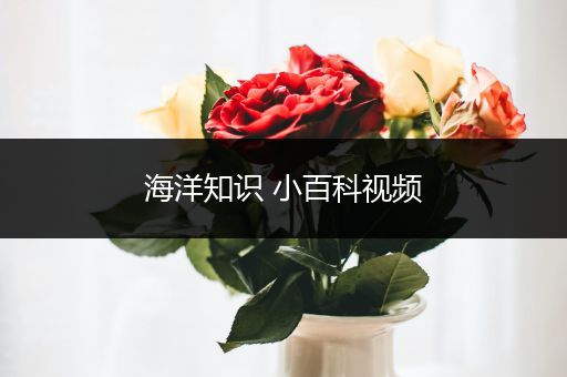 海洋知识 小百科视频