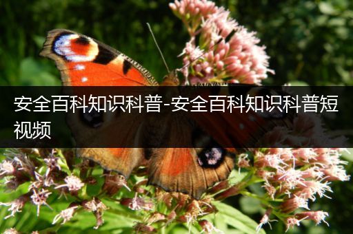 安全百科知识科普-安全百科知识科普短视频