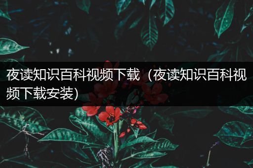夜读知识百科视频下载（夜读知识百科视频下载安装）