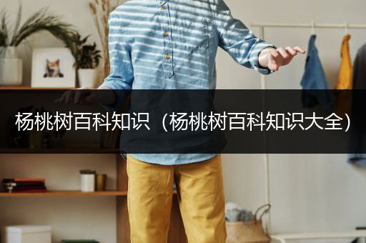 杨桃树百科知识（杨桃树百科知识大全）