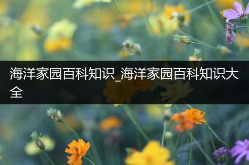 海洋家园百科知识_海洋家园百科知识大全