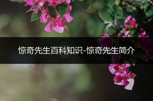 惊奇先生百科知识-惊奇先生简介