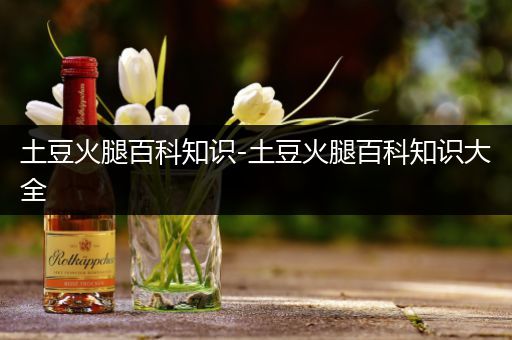 土豆火腿百科知识-土豆火腿百科知识大全