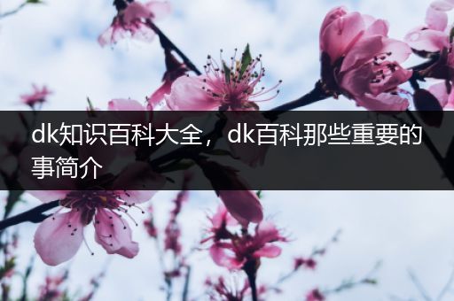 dk知识百科大全，dk百科那些重要的事简介