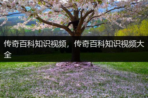 传奇百科知识视频，传奇百科知识视频大全