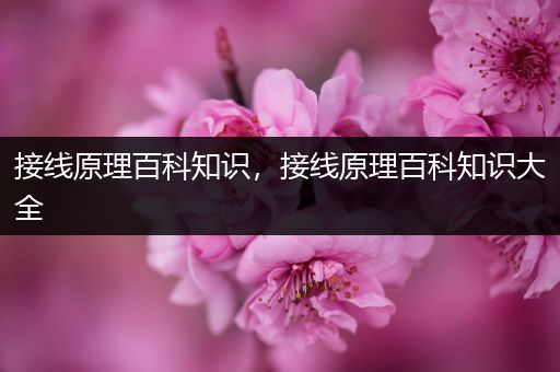 接线原理百科知识，接线原理百科知识大全