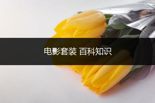 电影套装 百科知识