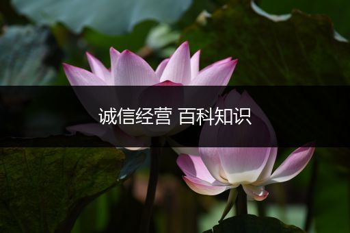 诚信经营 百科知识