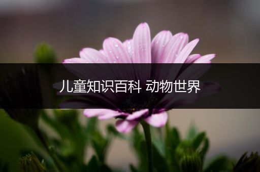 儿童知识百科 动物世界
