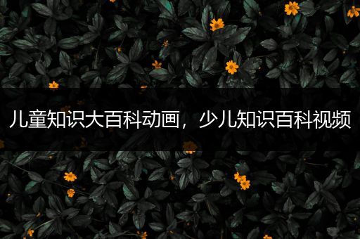 儿童知识大百科动画，少儿知识百科视频