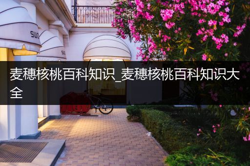 麦穗核桃百科知识_麦穗核桃百科知识大全