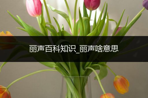 丽声百科知识_丽声啥意思